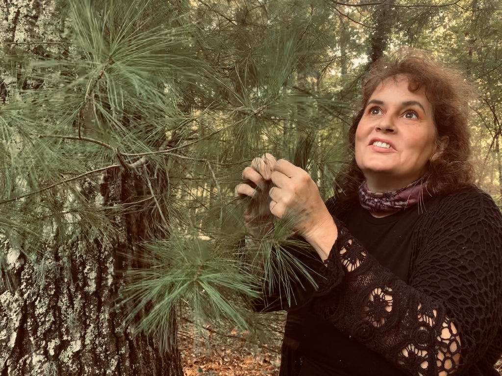 Jeannie Dunn Wildcrafting with Pine Tree 