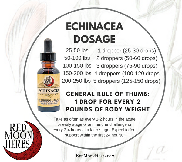 Echinacea Dosage Chart