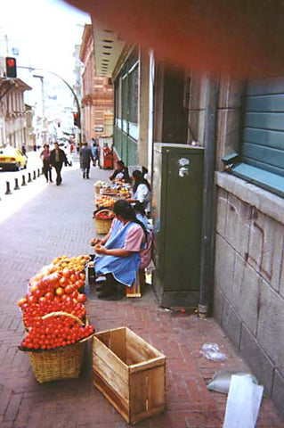 Street outside of back entrance of convent