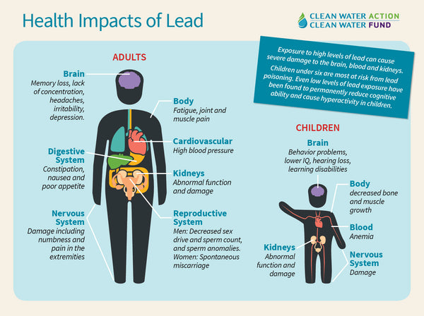 Health Effects Of Lead