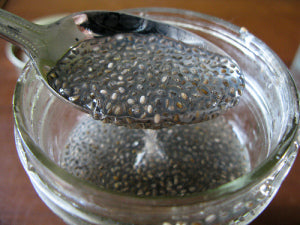 Chia Gel in Water 