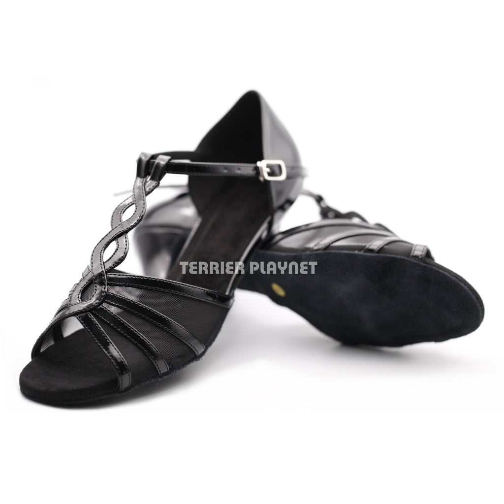 terrier dance shoes