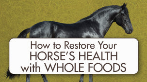 Whole Food for Horses: Restoring your Horse's Health with Whole Foods and BioStar