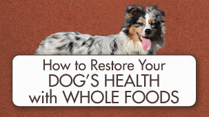 Whole Food diet for Dogs with BioStar
