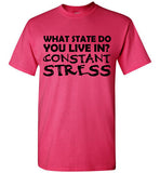 What State Do You Live In? Constant Stress T-Shirt