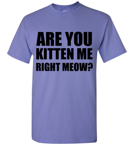 Are You Kitten Me Right Meow? T-Shirt – tshirtunicorn