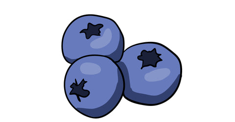 An illustration of 3 blueberries.