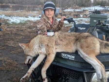 Lenon's Beaver Meat Fox & Coyote Bait 8 oz to Gallon Sizes