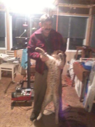 John Chagnon Putting up large michigan bobcat