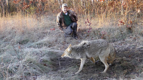 nice michigan coyote john Chagnon