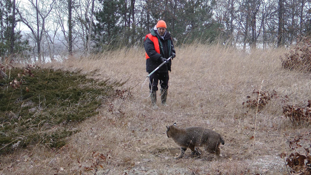 Dirt Hole Set Ticket Canine Success - Vintage Trapping Coyote