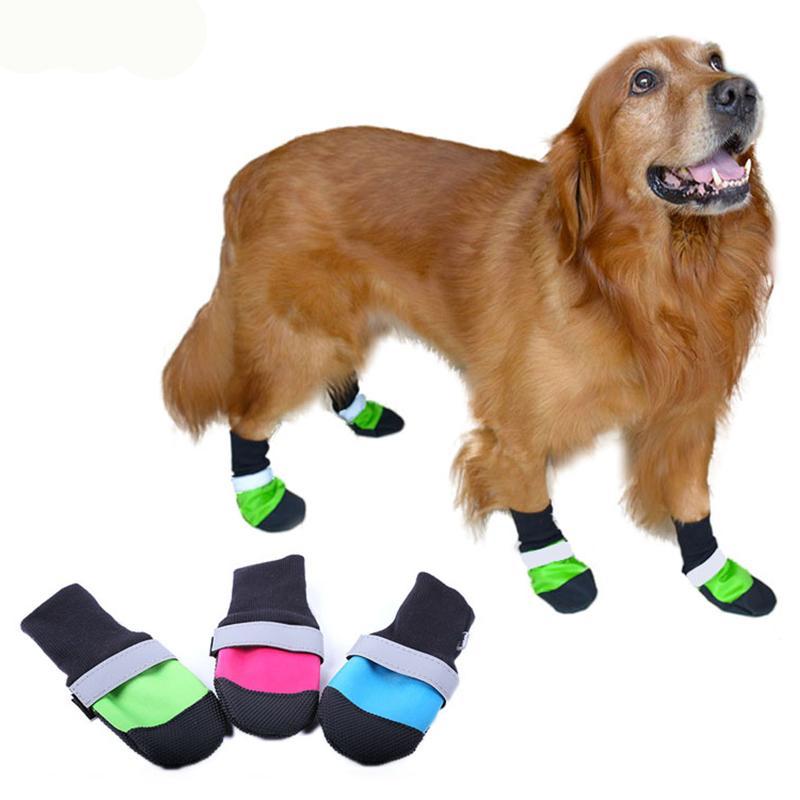 xs dog boots