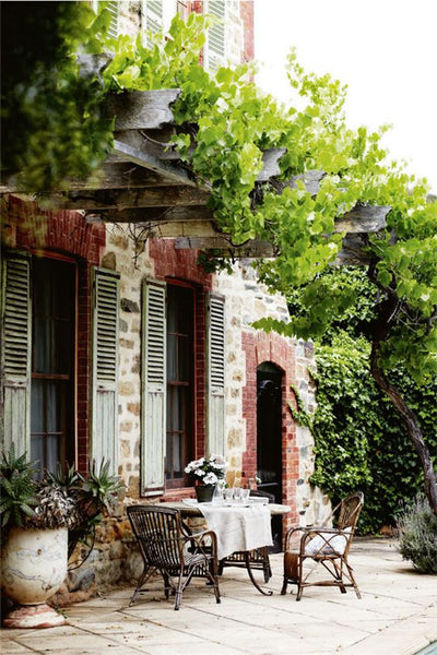 Wicker furniture and anduze urn planter vase under grape vine