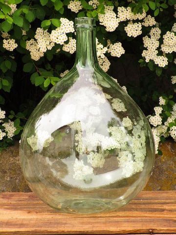 Dame Jeanne demijohn glass bottle vase glassware vintage modern farmhouse decor