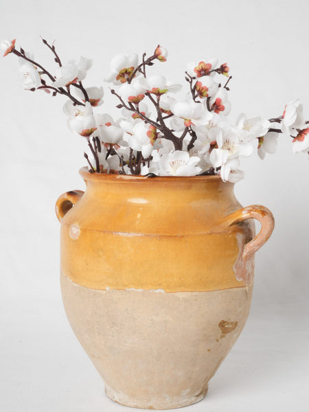 Antique French confit pot with blossom