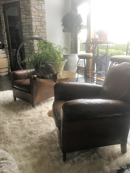 Vintage French Leather Club Chairs
