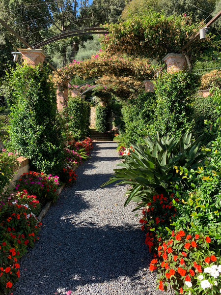 Climbing plants over trellis pergola French garden