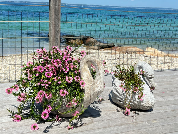 Vintage French swan planters