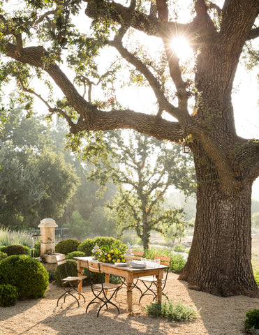 Patina farm rustic dining setting in the garden under the huge tree