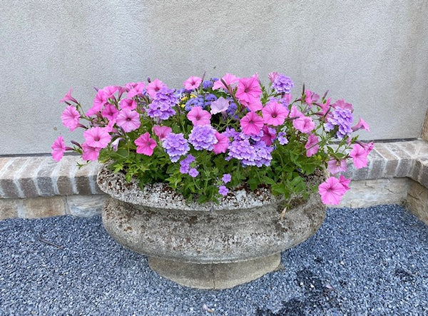 LARGE ANTIQUE FRENCH OVAL GARDEN PLANTER