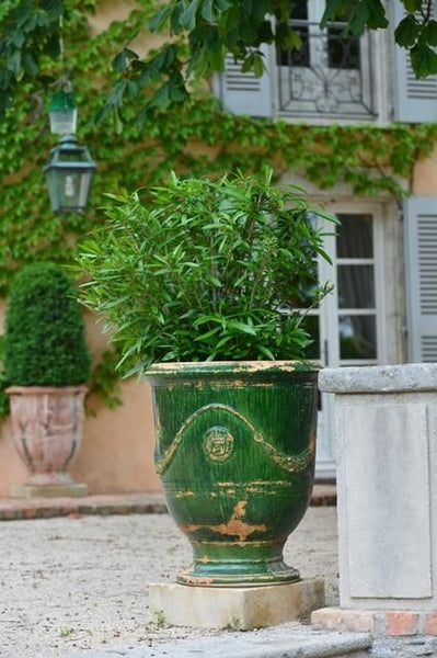 Anduze urn French garden design