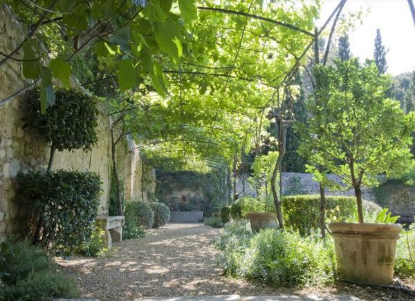 Anduze urns pottery planter under shade of wisteria vine french modern farmhouse landscape