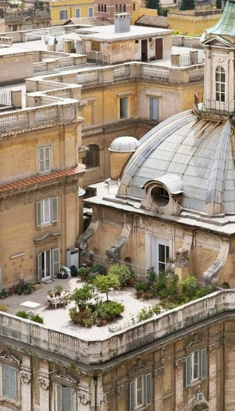 Rooftop garden Paris