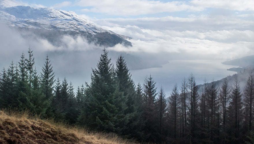 Loch Lomond