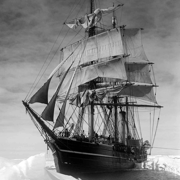 Terra Nova Ship