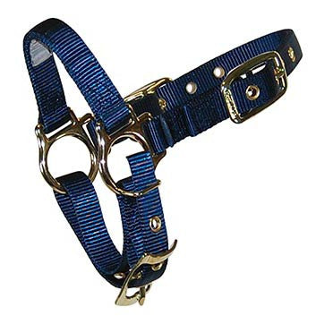 Western Rawhide Signature Halter Collection