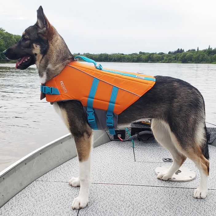 best dog life jacket