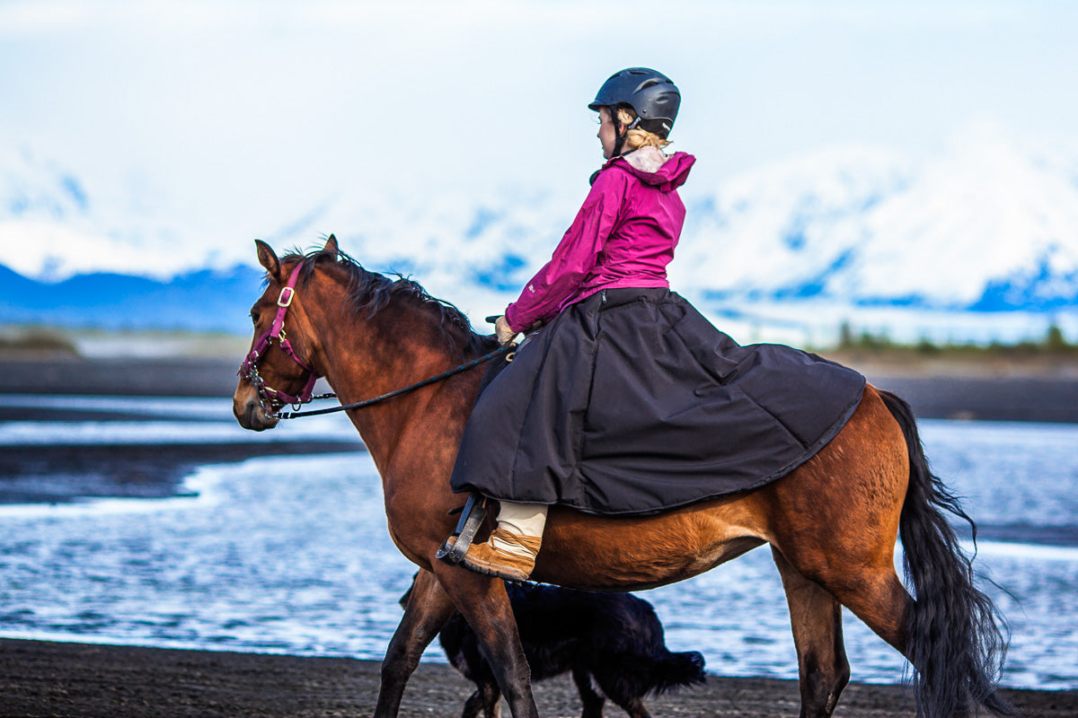 Arctic Horse