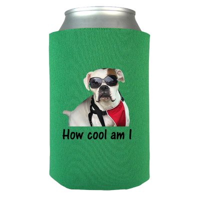 cool dog accessories