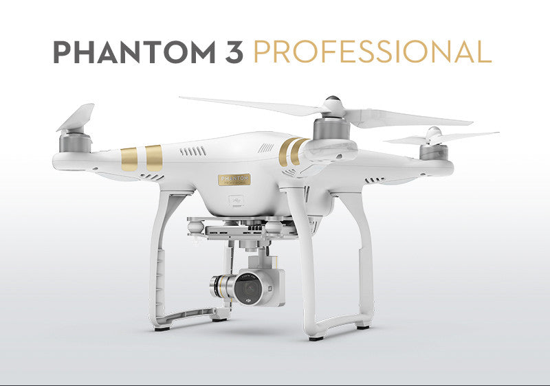 DJI Phantom 3 Professional With Extra Battery / Hard Backpack ...