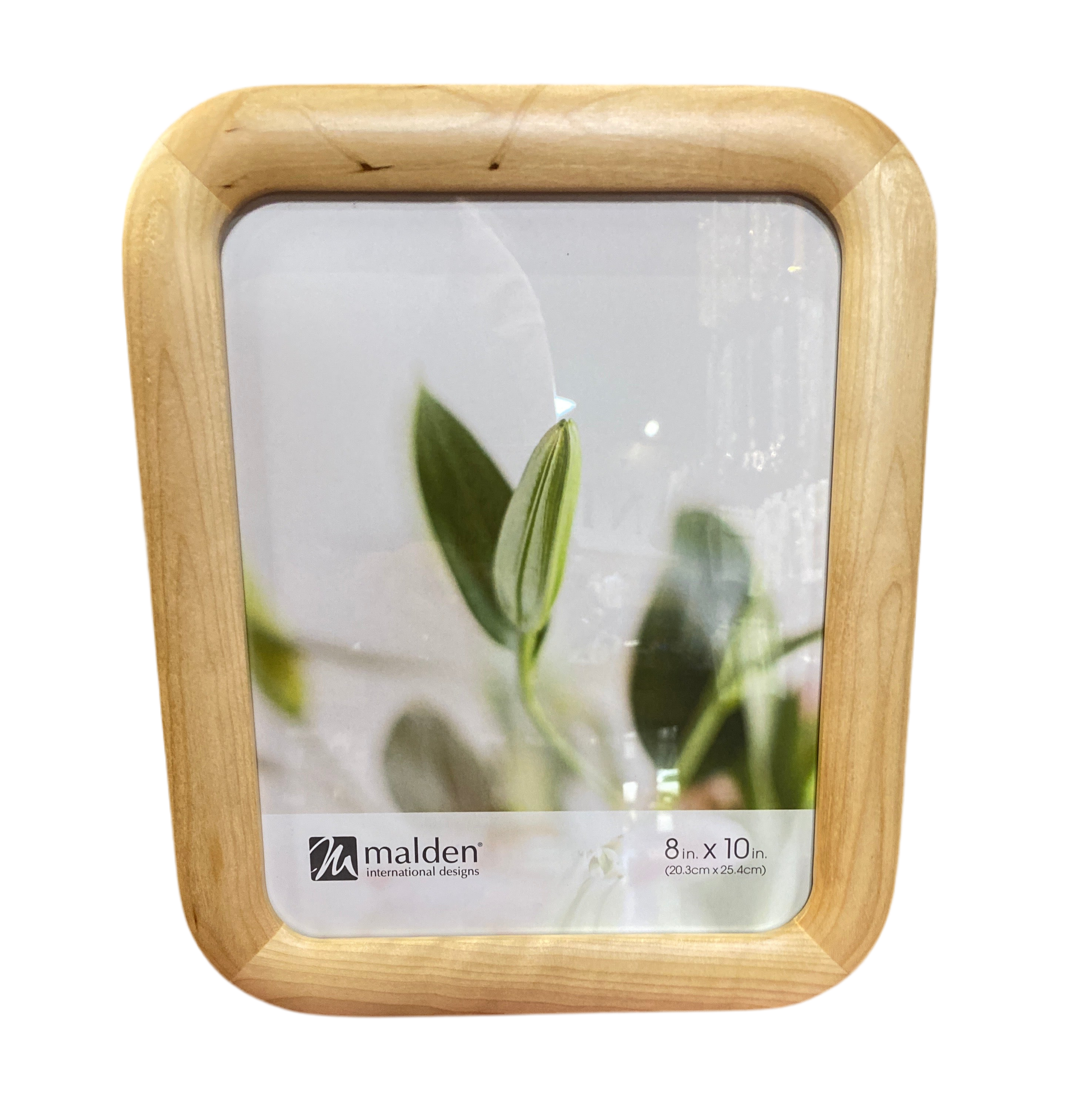 8x10 Curved Birch Picture Frame