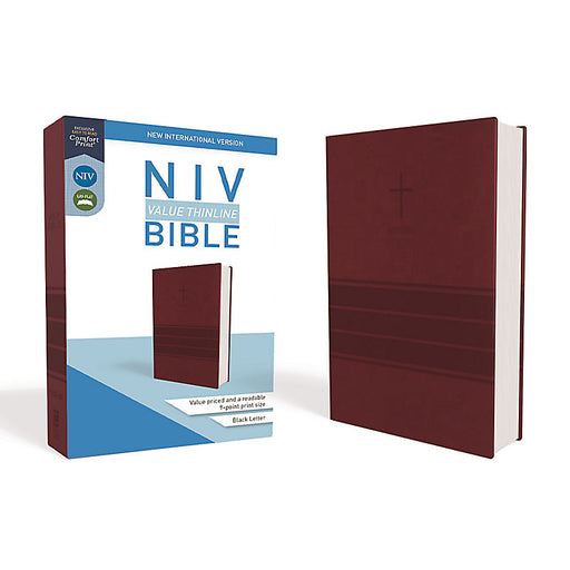 NIV Illustrating Bible - The Gospels — Barlow Blue