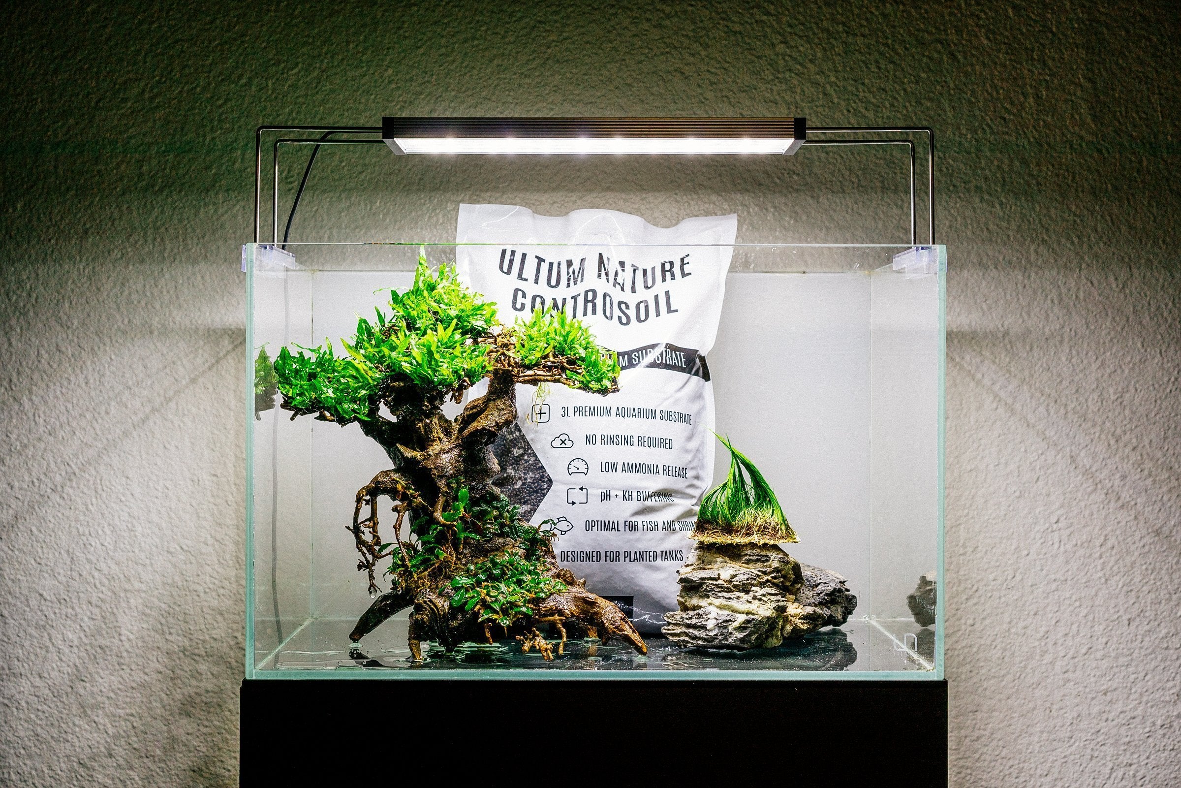 Bonsai tree with marimo moss : r/aquarium
