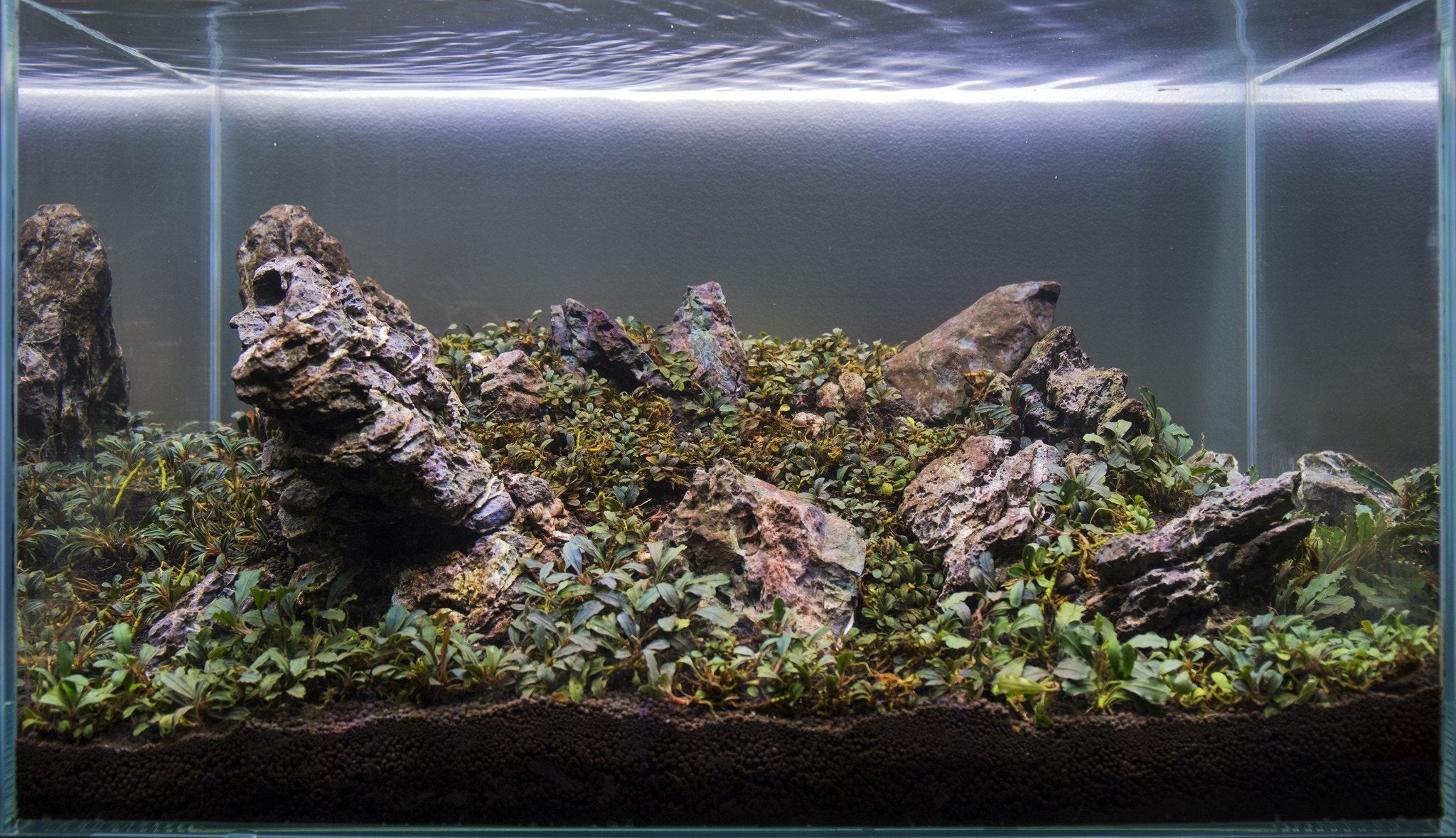Aquascaping Rocks Aquarium Hardscape — Buce Plant