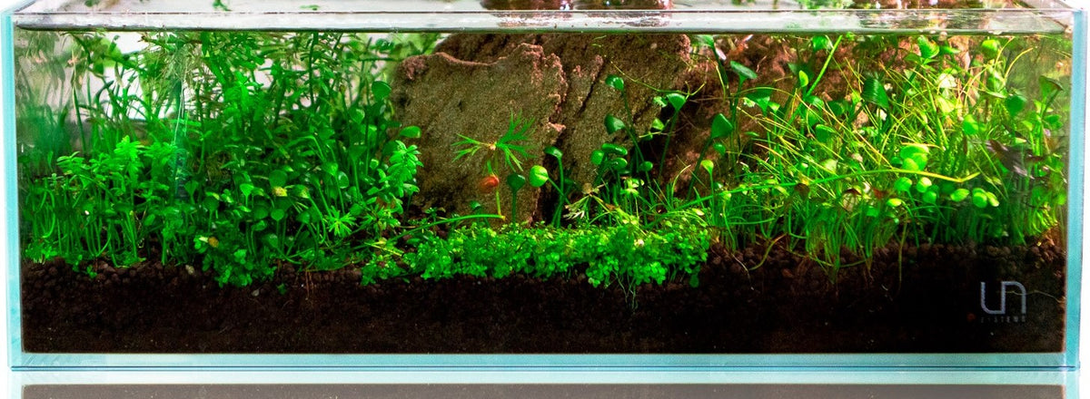 Planted Aquarium Substrate: Gravel, and Sand — Buce