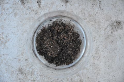 mini pond potting soil