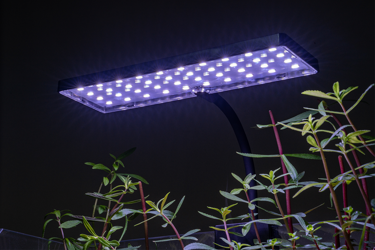 Aqua Worx EOS LED Aquarium Light - White — Buce Plant