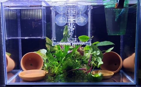 Planted Aquarium Substrate: Soil, Gravel, and Sand — Buce Plant