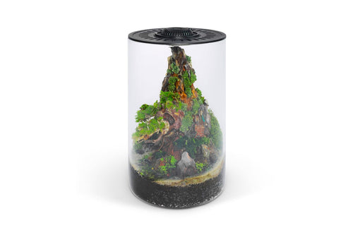 Bio Cylinder Terrarium Kit