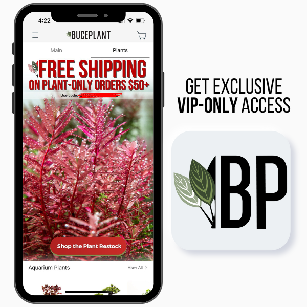 buce plant app