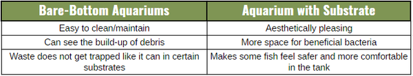 bare-bottom aquariums versus aquariums with substrate