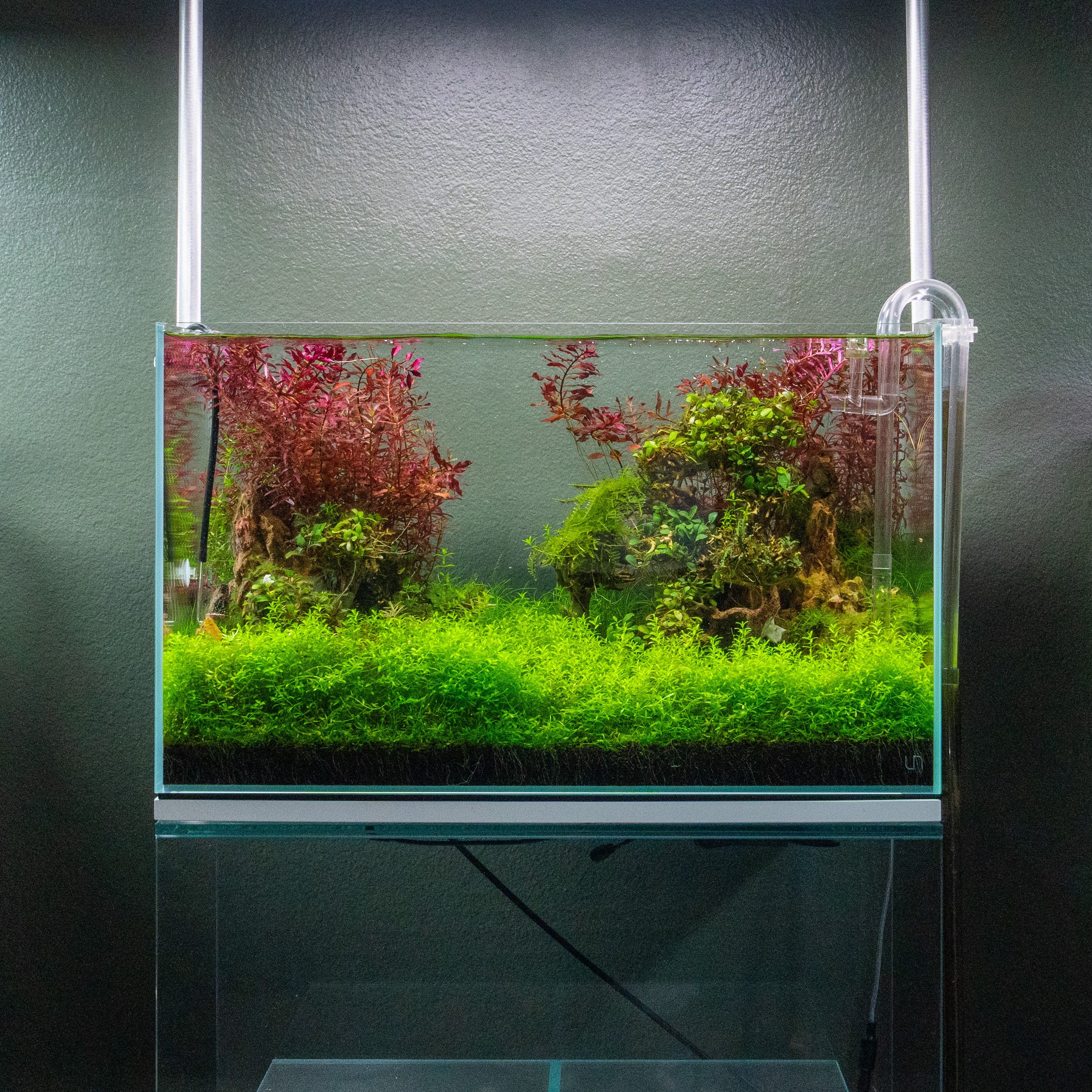 https://cdn.shopify.com/s/files/1/1167/8568/files/uns-60u-20-gallon-ultra-clear-rimless-aquarium-34283202445512.jpg?v=1688080723