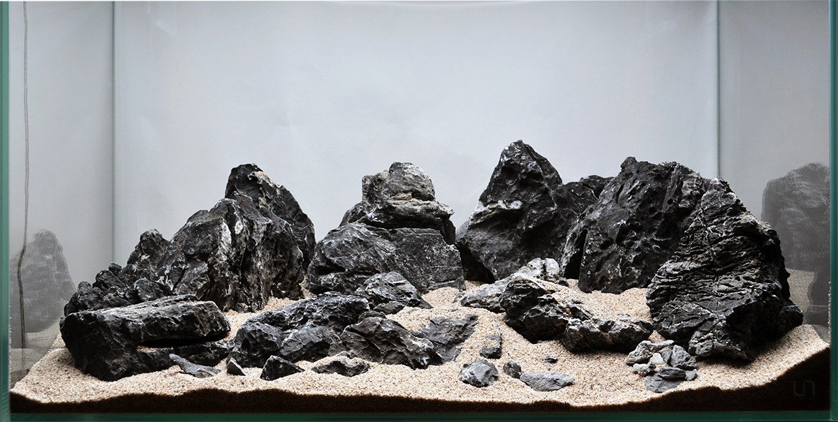 Black Seiryu Stone in an aquarium