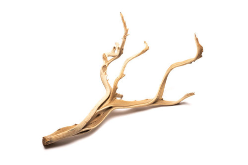 Ghost Wood (Large) 18-26"