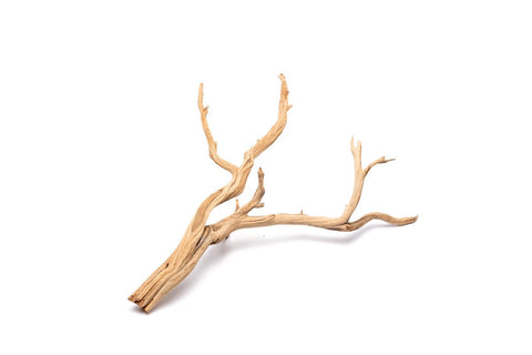 Spider Wood Driftwood – MarcusFishTanks