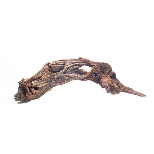 Malaysian Driftwood